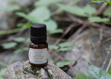 MURÀN – Ampolas Purify 05 Anticaspa 7 x 7ml