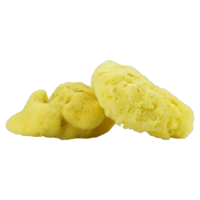 MURÀN – Esponja Marinha Healthy 00 Mar Mediterrâneo
