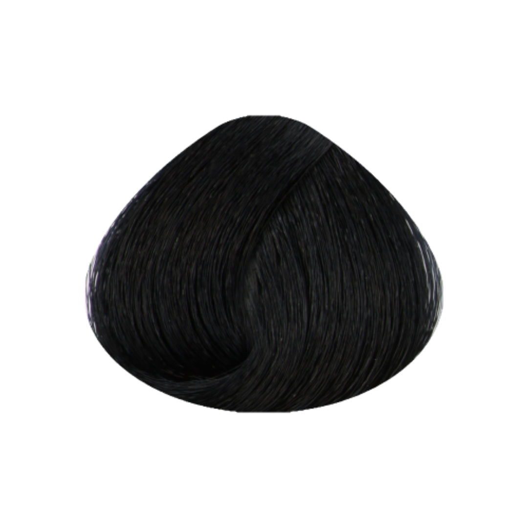 STAPIZ - Cor Pretos e Reflexos Color Art Desírée c/ Keratina e Ceramidas 100ml 1.1