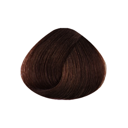 STAPIZ - Cor Louros Escuros e Reflexos Color Art Desírée c/ Keratina & Ceramidas 100ml 6.82