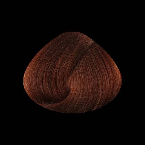 STAPIZ - Cor Louros Escuros e Reflexos Color Art Desírée c/ Keratina & Ceramidas 100ml