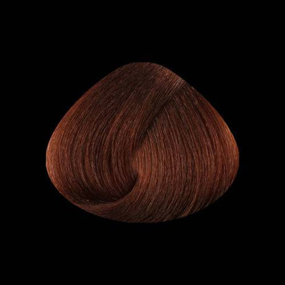 STAPIZ - Cor Louros Escuros e Reflexos Color Art Desírée c/ Keratina & Ceramidas 100ml