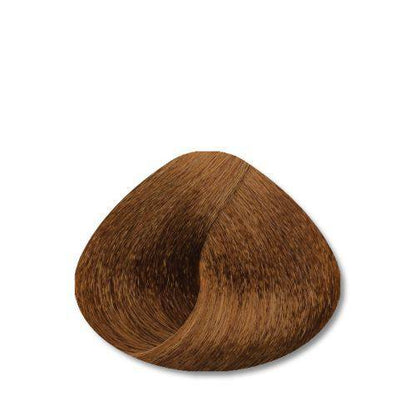 STAPIZ - Cor Louros e Reflexos Color Art Desírée c/ Keratina & Ceramidas 100ml