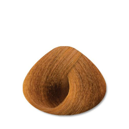 STAPIZ - Cor Louros Muito Claros e Reflexos Color Art Desírée c/ Keratina & Ceramidas 100ml