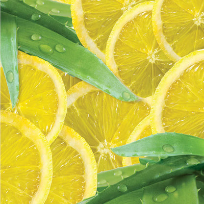 CUCCIO – Manteiga Hidratante Butter White Limetta & Aloe Vera 237g (3281)